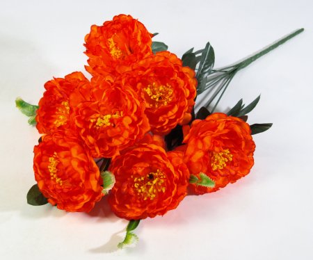 Букет пиона "Сапфир" 7 цветков