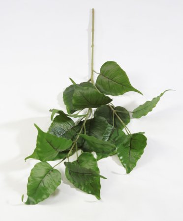 картинка Ветка тополя от магазина KALINA