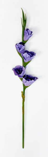 Гладиолус "Цветочный калейдоскоп" сиреневый