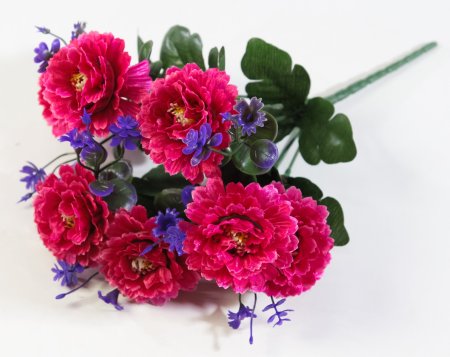 Букет цинний "Чародейка" 7 цветков