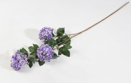 Калина Бульденеж лавандовая