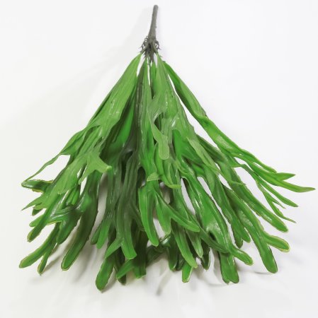 картинка Ветка платицериума "Олений рог" от магазина KALINA