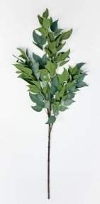 картинка Фикус ветка большая светло-зеленая от магазина KALINA