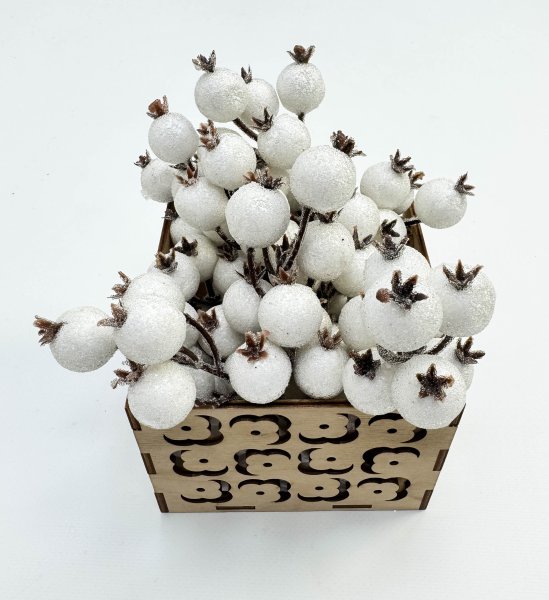 Насадка шиповника с белыми крупными ягодами в инее