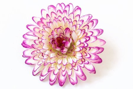 Насадка георгина