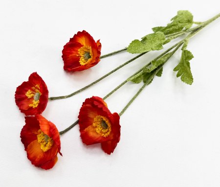 Мак красный