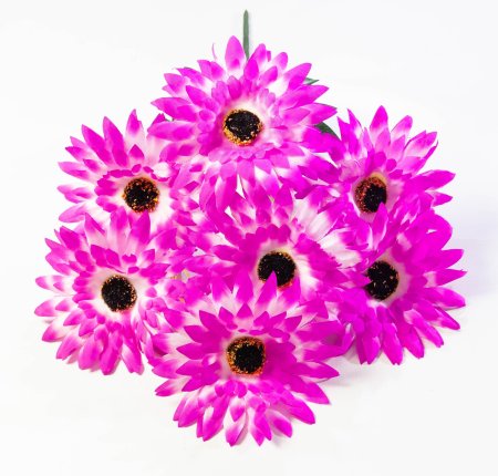 Букет гербер "Липстик" 7 цветков