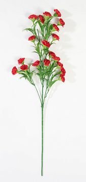 Ветка гвоздики 20 цветков красная от магазина KALINA являющийся официальным дистрибьютором в России 