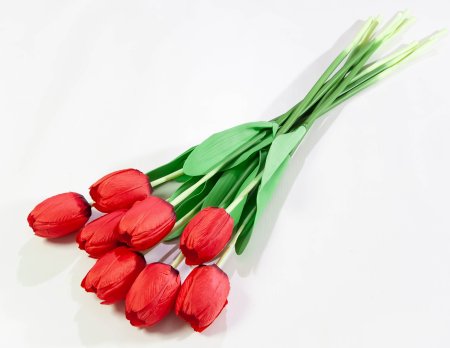 acb76884ef6ff42a849280bac590d093