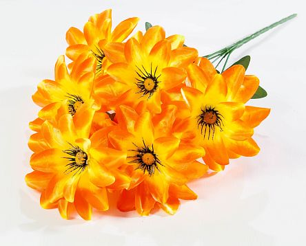 Георгин "Глазки" крупный 6 цветков от магазина KALINA являющийся официальным дистрибьютором в России 