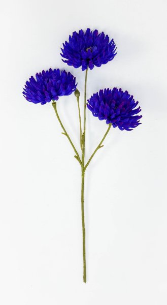 Хризантема "Канапушка" 3 цветка