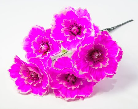 Георгин "Августа" 5 цветков