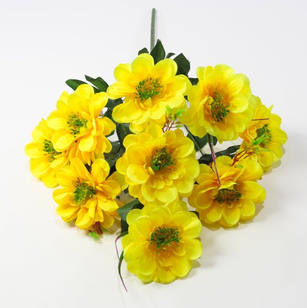 Георгин "Василиса" 9 цветков