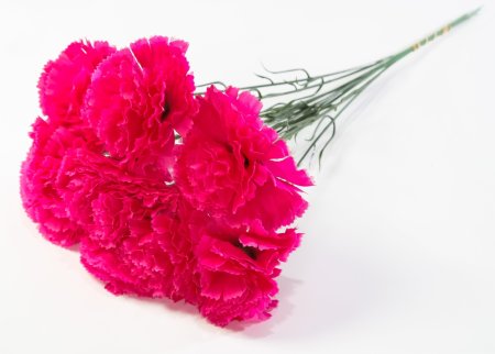 Гвоздика штучка