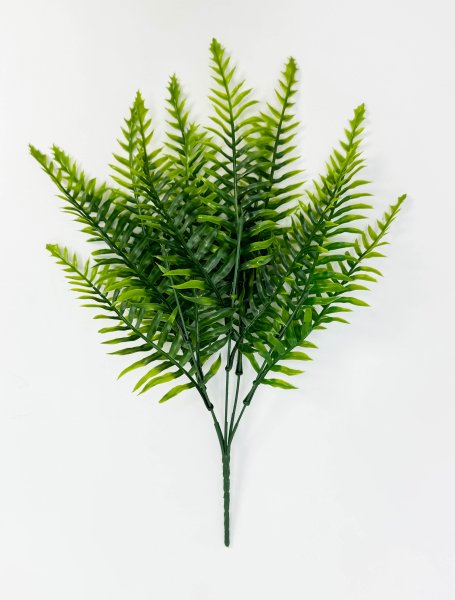 картинка Нефролепис мечевидный 5 веток от магазина KALINA