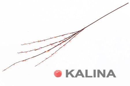 Ветка вербы