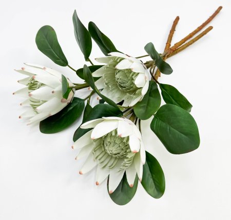 Протея артишоковая "Арктический холод"