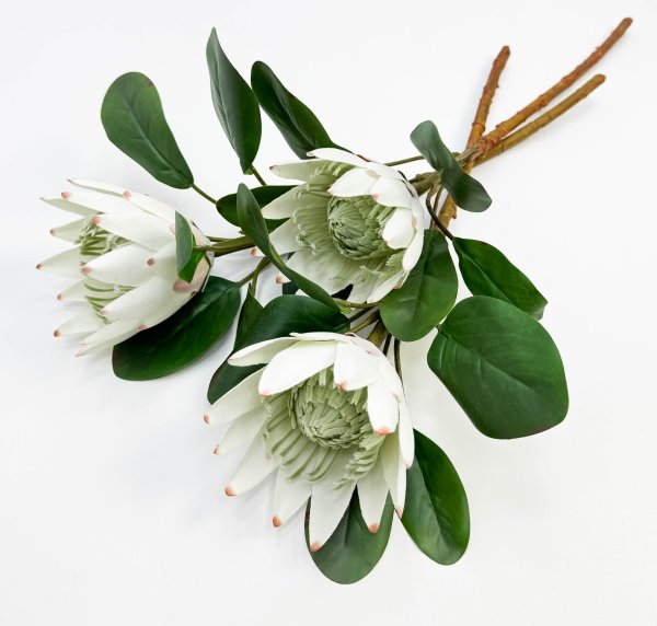 Протея артишоковая "Арктический холод"