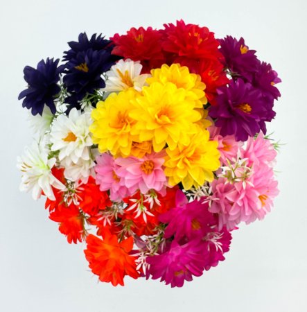 Георгин "Романс"