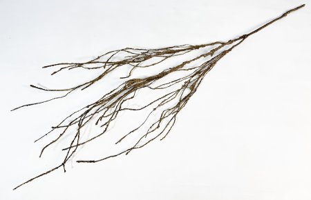 Ветка средняя коричневая