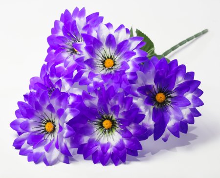 Георгин "Алинка" 6 цветков