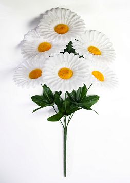 Ромашка "Лунный свет малая" 6 цветков от магазина KALINA являющийся официальным дистрибьютором в России 
