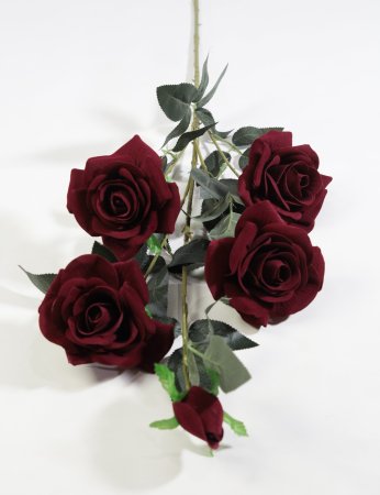 Ветка розы "Алая заря темно-красная" 4 цветка 1 бутон