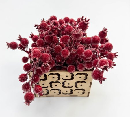 Насадка шиповника с красными ягодами в инее