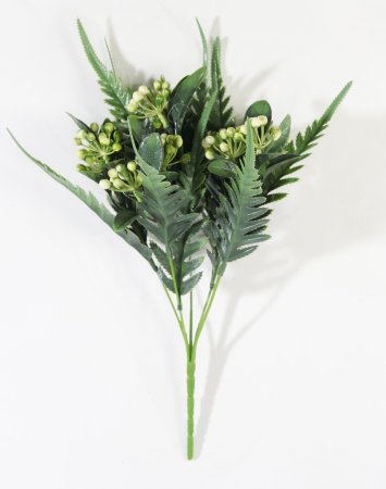 Нидорелла ивифолия