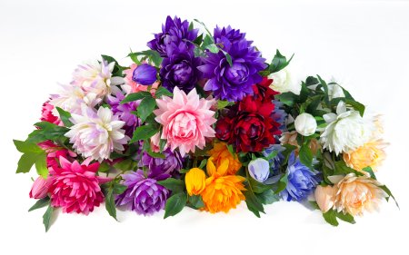 Лотос ветка 4 цветка 1 бутон