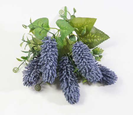 Букет Секлетия синий