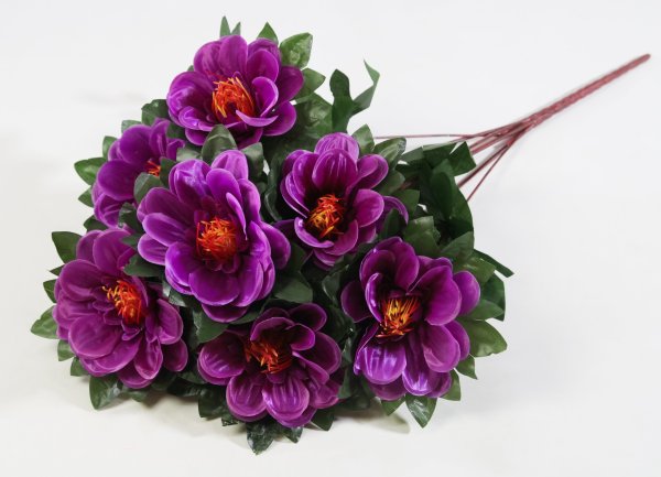 Букет георгина "Ласка" 7 цветков