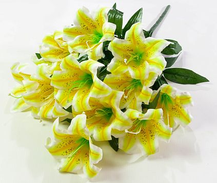 Лилия "Медовая луна" 12 цветков от магазина KALINA являющийся официальным дистрибьютором в России 