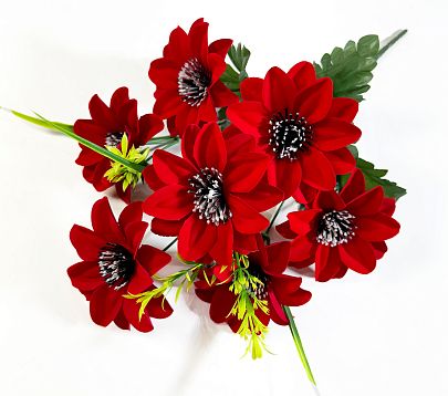 Астра бархатная с черной тычинкой 7 цветков от магазина KALINA являющийся официальным дистрибьютором в России 