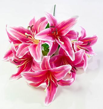 Лилия "Арабская ночь" 7 цветков от магазина KALINA являющийся официальным дистрибьютором в России 