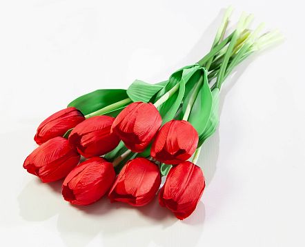 Тюльпан одиночный от магазина KALINA являющийся официальным дистрибьютором в России 