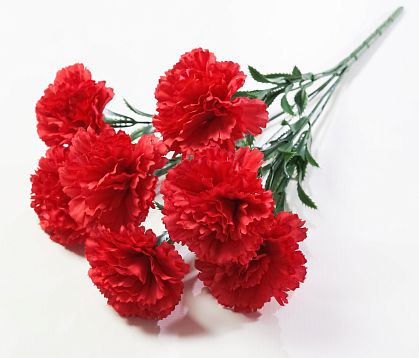 Гвоздика "Триумф" 7 цветков от магазина KALINA являющийся официальным дистрибьютором в России 