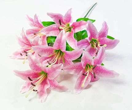 Лилия "Леди Элис" 7 цветков от магазина KALINA являющийся официальным дистрибьютором в России 