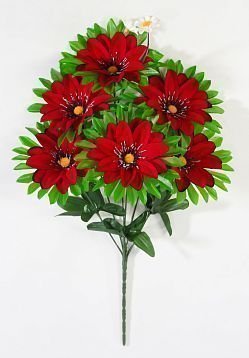 Бархатный георгин "Пико" 6 цветков от магазина KALINA являющийся официальным дистрибьютором в России 