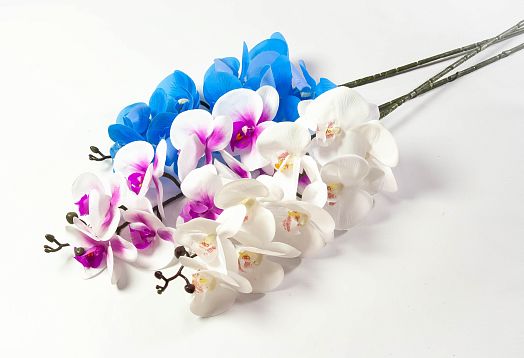 Ветка орхидеи 9 цветков от магазина KALINA являющийся официальным дистрибьютором в России 