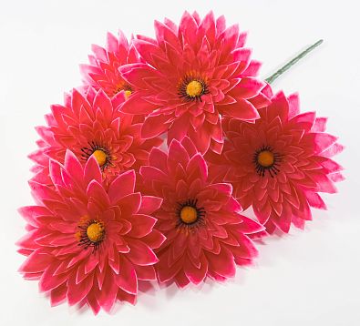 Астра "Скарлет" 6 цветков от магазина KALINA являющийся официальным дистрибьютором в России 