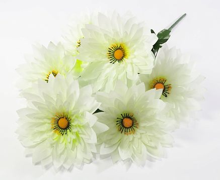 Астра "Скарлет" 6 цветков от магазина KALINA являющийся официальным дистрибьютором в России 