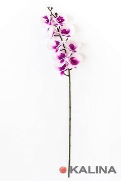 Ветка орхидеи 9 цветков от магазина KALINA являющийся официальным дистрибьютором в России 