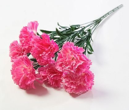 Гвоздика "Триумф" 7 цветков от магазина KALINA являющийся официальным дистрибьютором в России 