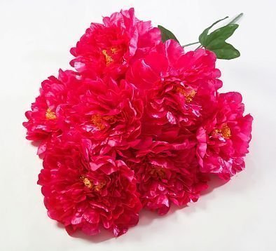 Букет пиона "Летний вечер" 7 цветков от магазина KALINA являющийся официальным дистрибьютором в России 