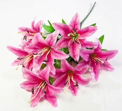 Лилия "Леди Элис" 7 цветков от магазина KALINA являющийся официальным дистрибьютором в России 