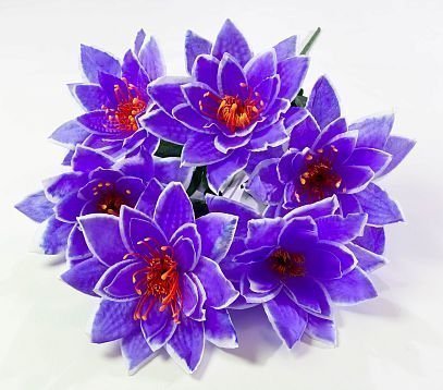 Букет лотоса 6 цветков от магазина KALINA являющийся официальным дистрибьютором в России 
